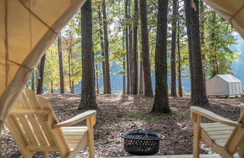 Morton Autre | Tentrr State Park Site - Mississippi Roosevelt State Park - Tall Trees D - Single Camp