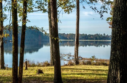 Morton Autre | Tentrr State Park Site - Mississippi Roosevelt State Park - Tall Trees B - Single Camp