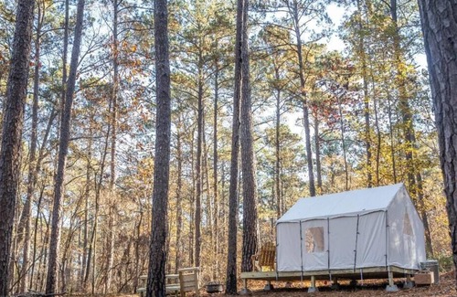 Quitman Location De VR | Tentrr State Park Site - Mississippi Clarkco State Park - Woodland B - Double Ca