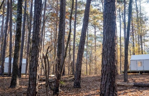 Quitman Location De VR | Tentrr State Park Site - Mississippi Clarkco State Park - Woodland B - Double Ca