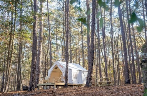 Quitman Location De VR | Tentrr State Park Site - Mississippi Clarkco State Park - Lakeview C - Single Ca