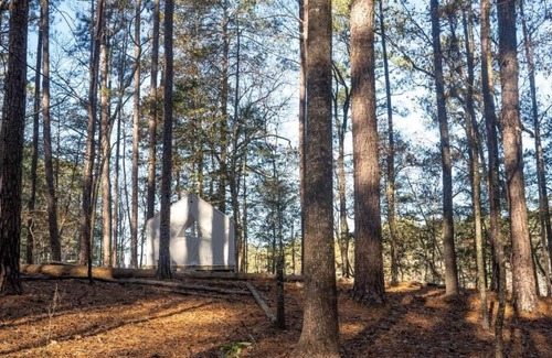 Quitman Location De VR | Tentrr State Park Site - Mississippi Clarkco State Park - Lakeview C - Single Ca