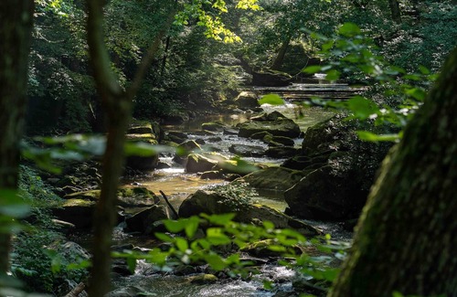 Ansted Location De VR | Tentrr State Park Site - WV Hawk's Nest State Park - Site H - Single Camp