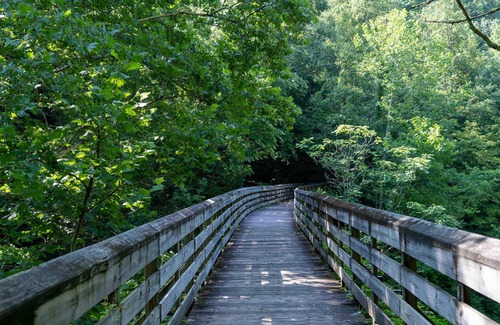 Ansted Location De VR | Tentrr State Park Site - WV Hawk's Nest State Park - Site G - Single Camp