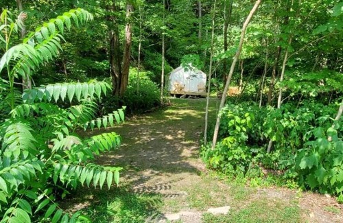 Ansted Location De VR | Tentrr State Park Site - WV Hawk's Nest State Park - Site C - Single Camp