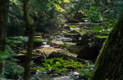 Ansted Location De VR | Tentrr State Park Site - WV Hawk's Nest State Park - Site C - Single Camp