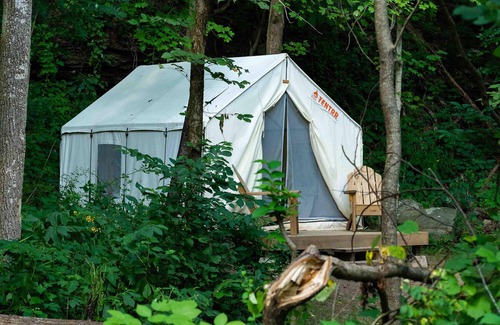 Ansted Location De VR | Tentrr State Park Site - WV Hawk's Nest State Park - Site D - Single Camp