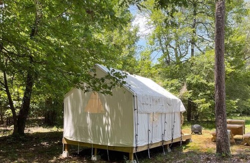 Holly Springs Location De VR | Tentrr State Park Site - Mississippi Wall Doxey State Park - Fresh Field I - Sin