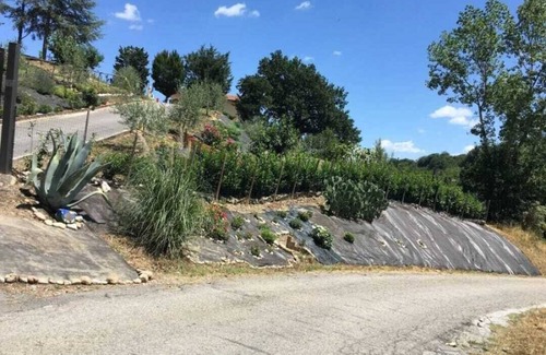 Civitaquana Maison | Tenuta Di Carlo - Civitaquana (PE) CIN IT068013C2TBDPWNP9- CIR 068013CVP0001