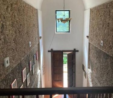 Chichen Itza - Valladolid Appartement | Tepich Casa en hacienda con cenote en la selva maya