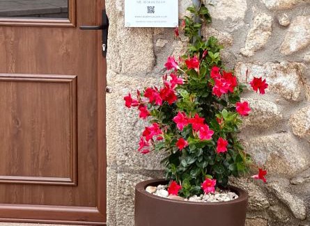 O Arrabal Maison | Teresa Caeiro