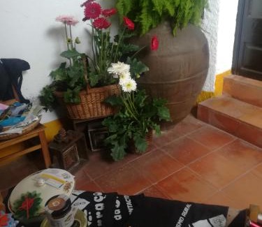 Segade Maison | Terraços da Beira