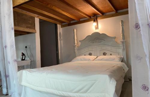 Sungai Buloh Maison | Terra Cottage Homestay Sungai Buloh