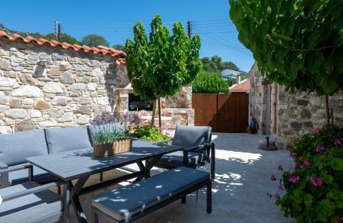 Vasa Koilaniou Maison | Terra Nobile, 3BR Mountain Stone Escape BBQ Fireplace