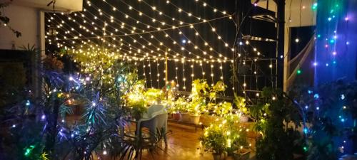 Hatigaon Chalet De Ski | Terrace Cottage Garden Homestay at Guwahati
