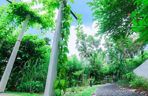 Welipitiya Station Balnéaire | Terrace Garden Ayurveda Resort