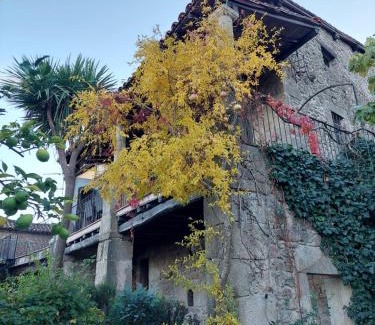 Hoyos Maison | TERRACEA