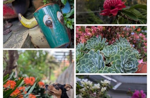 Warburton Maison | Terraces of Warburton