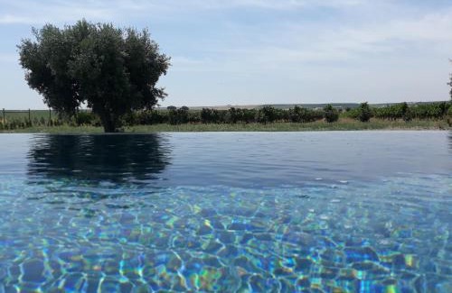 Beja Maison | Terras - Agroturismo & Vinhos