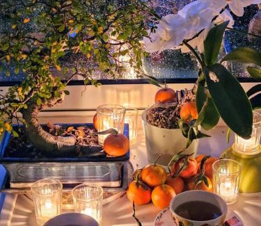 Vienne Appartement | Terrasse de Malissol