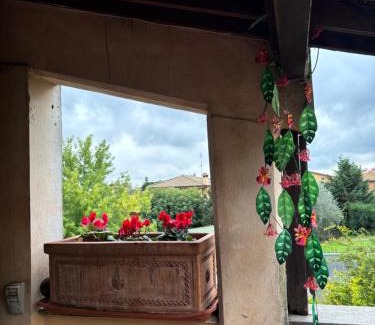 Cesano Maison | Terrazza dei fiori