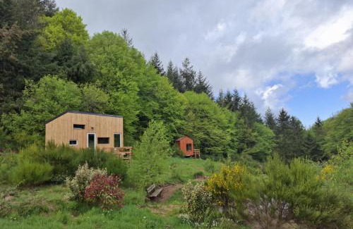 Saint-Rirand Autre | Terre d'oyali