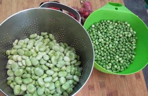 Ecurey-en-Verdunois Lit Et Petit-Déjeuner | terroir de familles