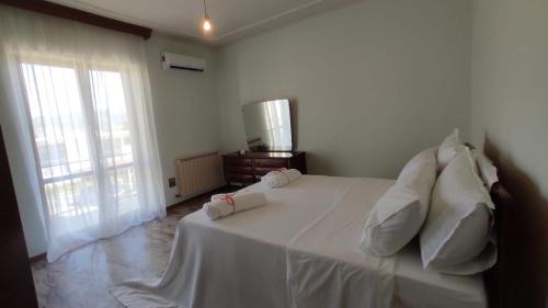 Fondi Maison | Terry's House
