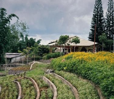 Bao Loc Maison | Thông Vi Vu Glamping
