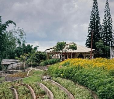 Bao Loc Maison | Thông Vi Vu Glamping