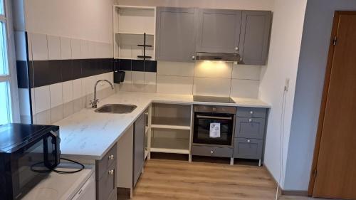 Wittchenstein Appartement | Thüringer Tannenhof Ferienwohnungen