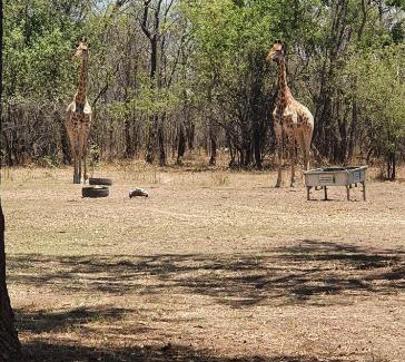 Vaalwater Maison | Thaba meetse