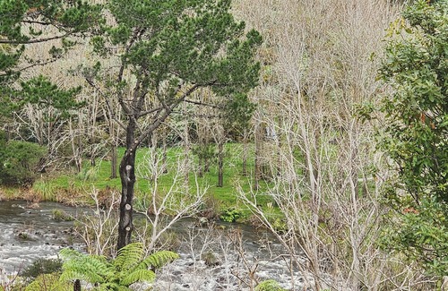 Thames Maison | Thames River Valley Studio Retreat 2