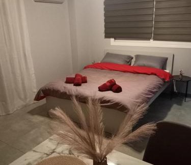 Trikala Appartement | ThaniaS'S Studio 1
