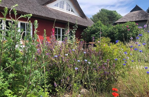 Altenkirchen Cottage | Ferme au toit de chaume Schwalbenhof Gudderitz