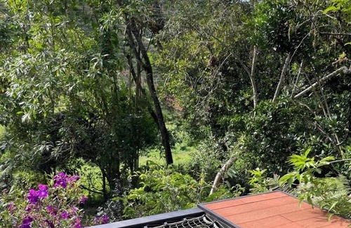 El Penol Cabine | The Alba Glamping Aurora