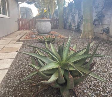 Beacon Bay Appartement | The Aloe
