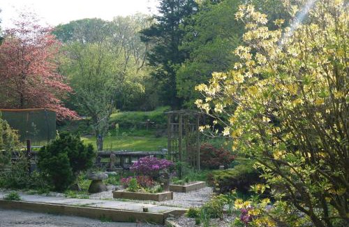 Dunkeswell Maison | The Annexe at Riverside Cottage