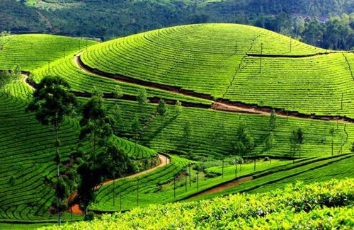 Idukki Appartement | THE ARK