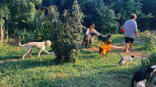 Aigialeia Maison | The Artist's Farm