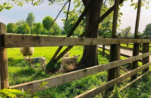 Cleeve Cabine | The Ash View in North Somerset