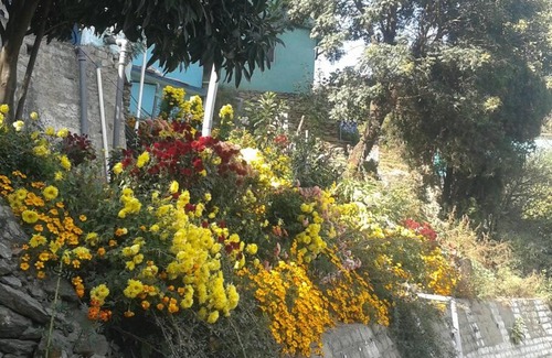 Kotgarh Appartement | The Atmosphere