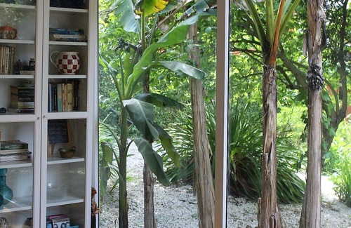 Cacia Maison | The Backyard House - Vale da Silva Villas