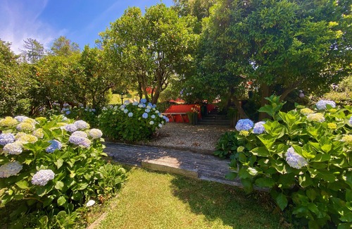 Cacia Maison | The Backyard House - Vale da Silva Villas