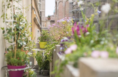 Parma City Centre Maison | Le balcon de l'Angiol d'Or