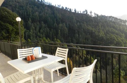 Shimla Maison | The Banoak Homes Mashobra