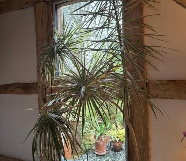 Braishfield Maison | The Barn