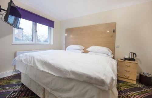 Hamilton Hôtel | The Bay Horse