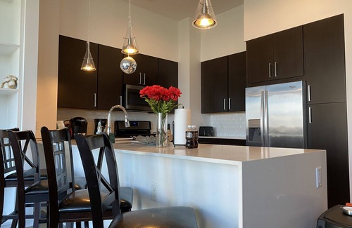 Texas Medical Center Appartement | The beautiful High Rise 2B2.5B Penthouse Suit