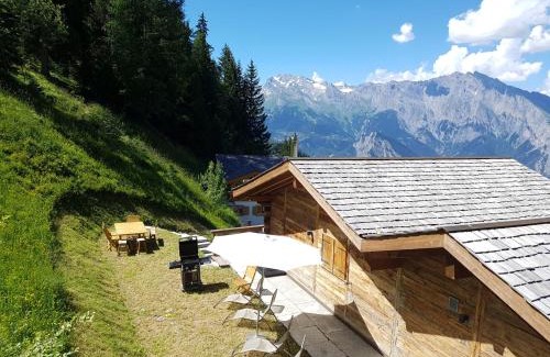 Riddes Chalet De Ski | The Big Bear